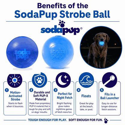 Strobe Ball Light-Up Dog Toy - Durable Floating Chew Ball | Made in USA - SodaPup/True Dogs, LLC