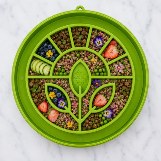 Garden Design eTray - Shallow Slow Feeder Dog Bowl for Enrichment | USA