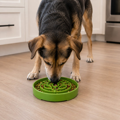 SodaPup Garden Design eTray Shallow Slow Feeder Dog Bowl Enrichment | USA