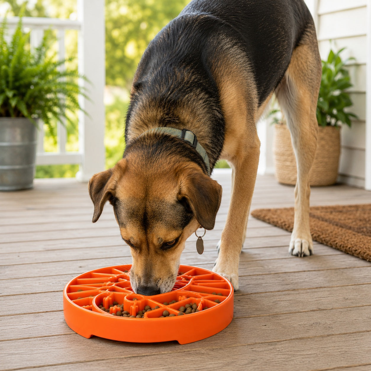 Sun and Moon eTray - Shallow Slow Feeder Dog Bowl for Enrichment