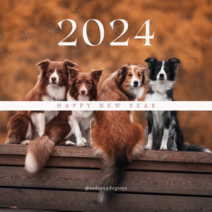 https://sodapup.com/cdn/shop/files/Sparkly_Happy_New_Year_2022_Greetings_Instagram_Post_-_frame_at_0m5s_300x.jpg?v=1704072051