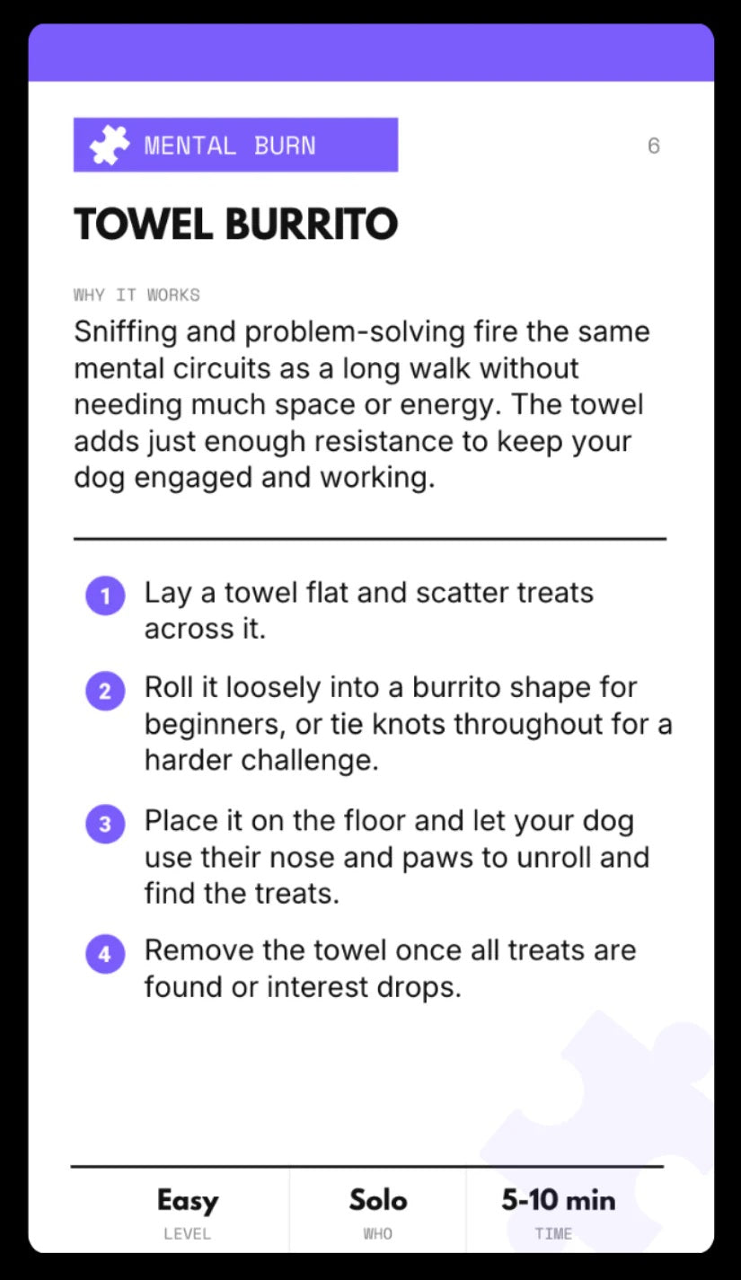YOUR DOG IS BORED - 32 ENRICHMENT ACTIVITY CARD DECK - SodaPup/True Dogs, LLC