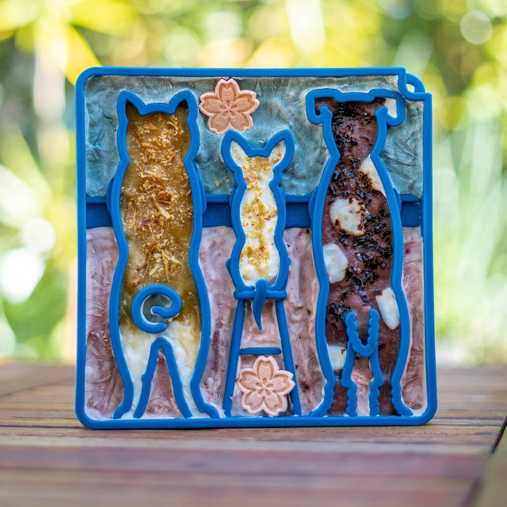 MANDALA ETRAY - ENRICHMENT TRAYS FOR DOGS - Multiply Colors Soda Pup –  rawpetfooddeliverymarket