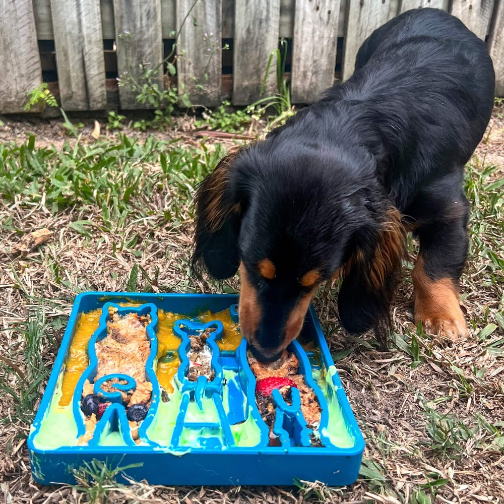 Waiting Dogs eTray - Shallow Slow Feeder Bowl for Enrichment | USA