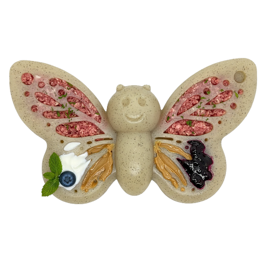 Butterfly-shaped dog chew toy with colorful filling on a white background