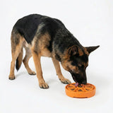 Citrus Softie eTray Shallow Slow Feeder Dog Bowl |  USA Made - SodaPup/True Dogs, LLC