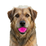 Glitter Ball  Dog Toy | Soft PUP-X Rubber Floating Fetch Ball with Treat Dispenser | USA Made - SodaPup/True Dogs, LLC