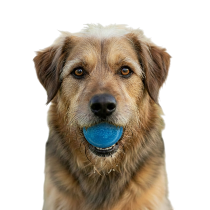 SodaPup Glitter Ball Dog Toy | Soft PUP-X Rubber Floating Fetch Treat Dispenser USA Made