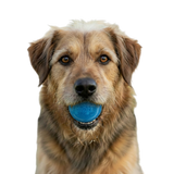 Glitter Ball  Dog Toy | Soft PUP-X Rubber Floating Fetch Ball with Treat Dispenser | USA Made - SodaPup/True Dogs, LLC