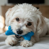 PUP-X Synthetic Rubber Chewing & Floating Bone Toy - Glow in the Dark