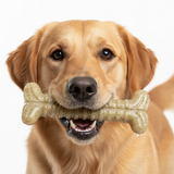 Toughbone Nylon Chew Bone
