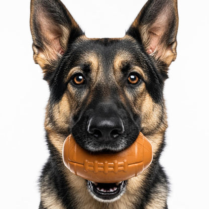 Football Dog Chew Toy & Treat Dispenser - USA Made | SodaPup - SodaPup/True Dogs, LLC