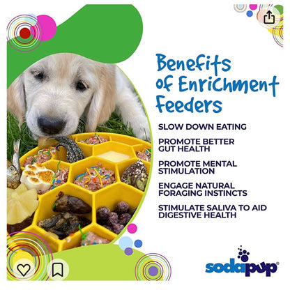 SodaPup Honeycomb eBowl Deep Slow Feeder Dog Bowl Enrichment | USA Made