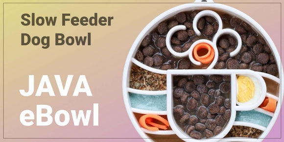 Shop best chew toys for dogs in USA | Soda Pup