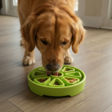 Citrus Softie eTray Shallow Slow Feeder Dog Bowl |  USA Made - SodaPup/True Dogs, LLC
