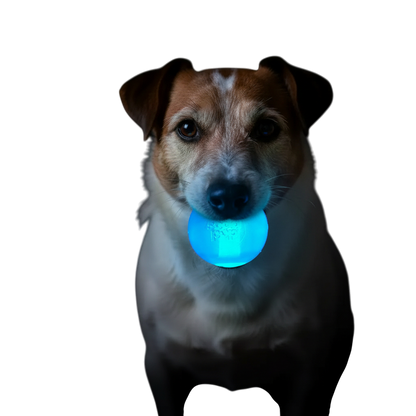 SodaPup Strobe Ball Light-Up Dog Toy Durable Floating Chew | Made USA
