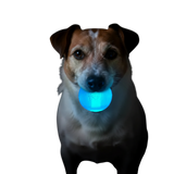Strobe Ball Ultra Durable PUP-X Chewing, Floating & Retrieving Ball
