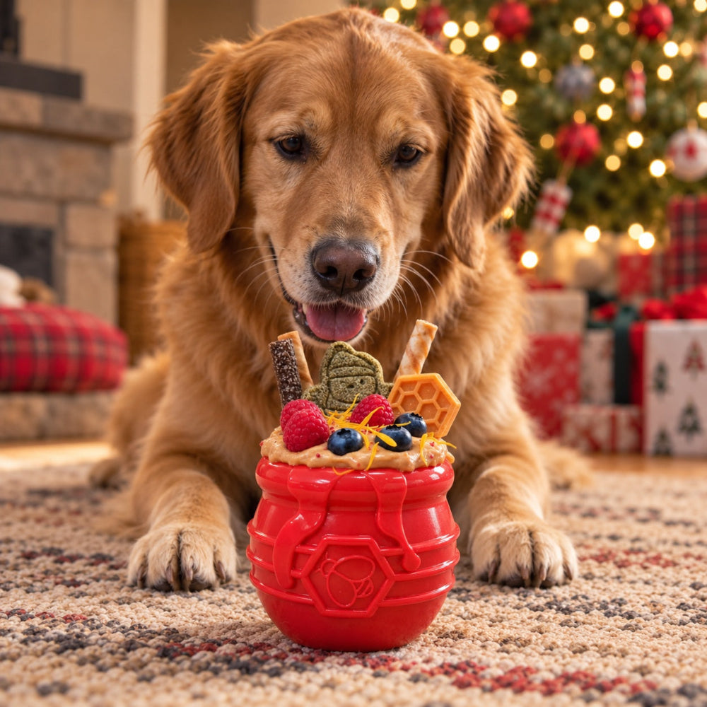 Golden retriever by a Christmas tree with a red Honey Pot eCup full of treats