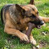 USA-K9 Stars and Stripes Bone Nylon Dog Chew Toy for Aggressive Chewers | USA Made - SodaPup/True Dogs, LLC