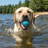 Glitter Ball 3-Pack Dog Toy | Soft Rubber Floating Fetch Ball with Treat Dispenser | USA Made (Copy) - SodaPup/True Dogs, LLC