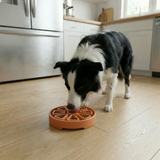 Citrus Softie eTray Shallow Slow Feeder Dog Bowl |  USA Made - SodaPup/True Dogs, LLC