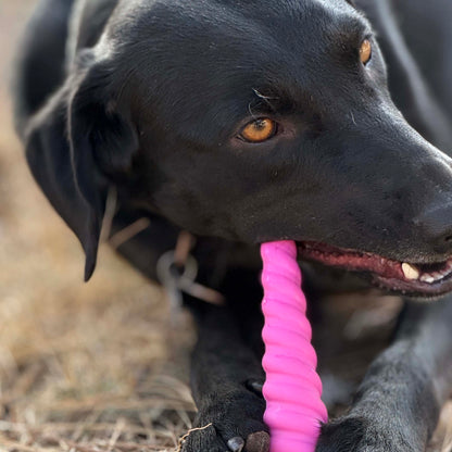 SodaPup Unicorn Horn Nylon Dog Chew Toy | Durable Aggressive Chewers