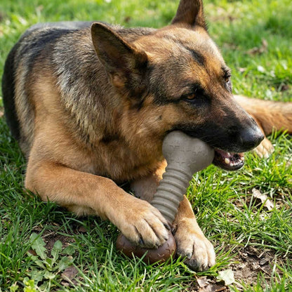 SodaPup USA-K9 Stars Stripes Bone Nylon Dog Chew Toy Aggressive Chewers | USA Made
