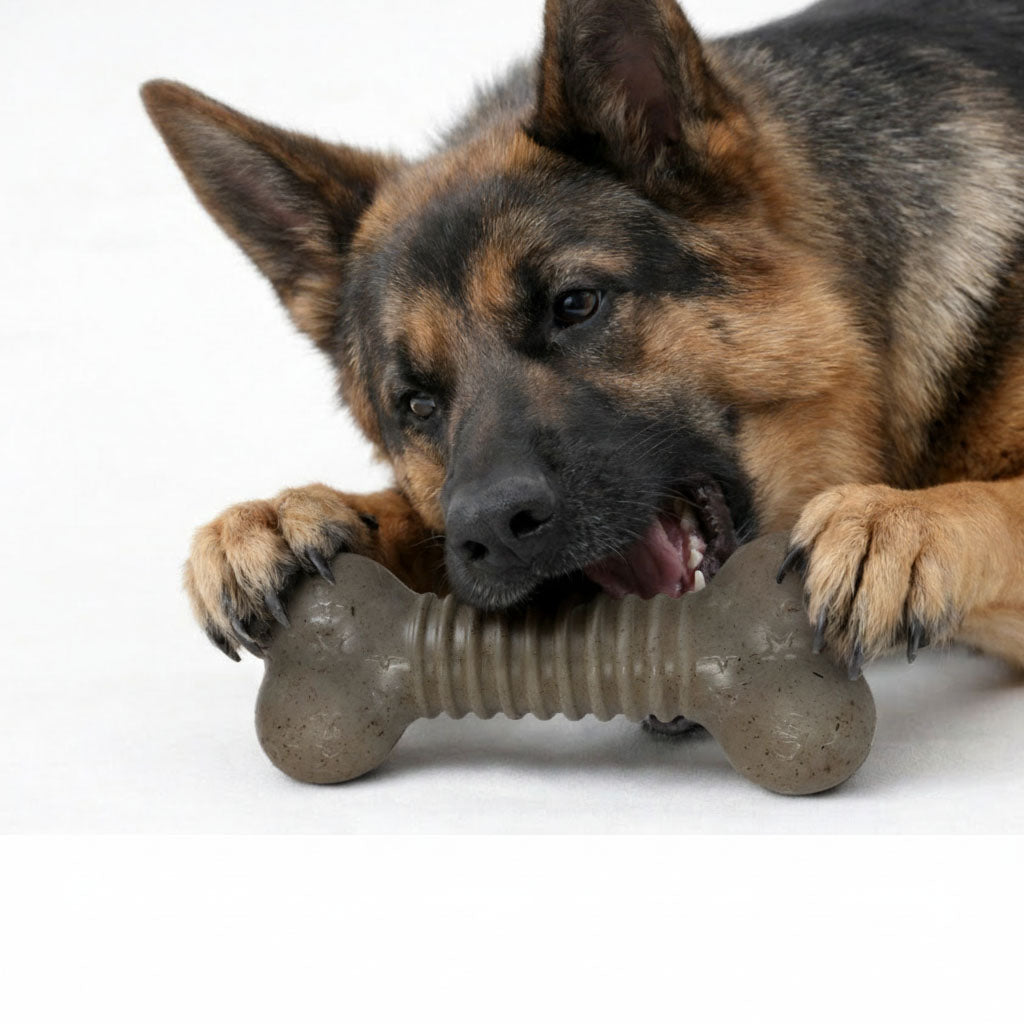 SodaPup USA-K9 Stars Stripes Bone Nylon Dog Chew Toy Aggressive Chewers | USA Made
