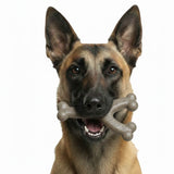 USA-K9 Stars and Stripes Wishbone Nylon Dog Chew Toy for Aggressive Chewers | USA Made - SodaPup/True Dogs, LLC