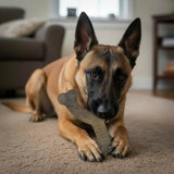 USA-K9 Stars and Stripes Wishbone Nylon Dog Chew Toy for Aggressive Chewers | USA Made - SodaPup/True Dogs, LLC