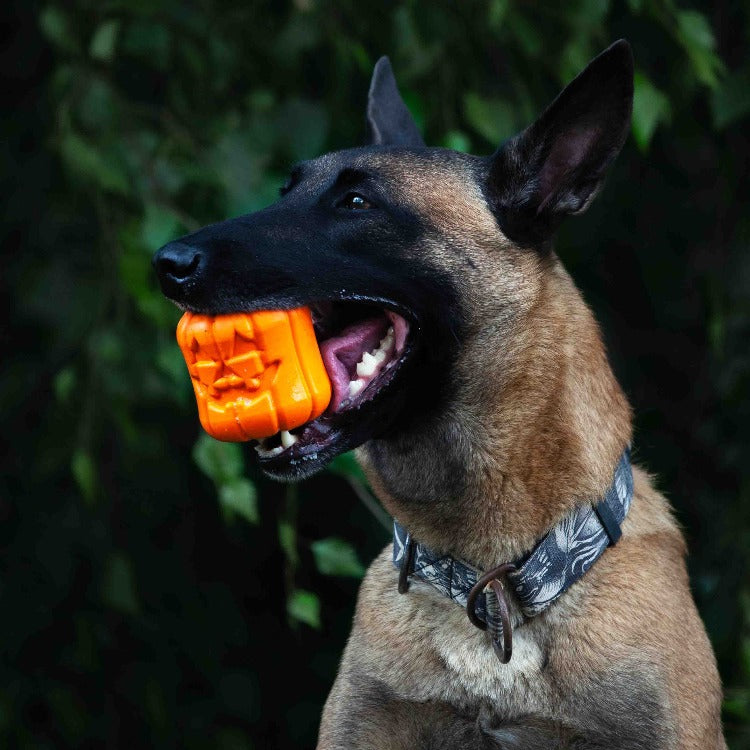 Jack-o-Lantern Durable Rubber Dog Toy - Made in the USA – SodaPup