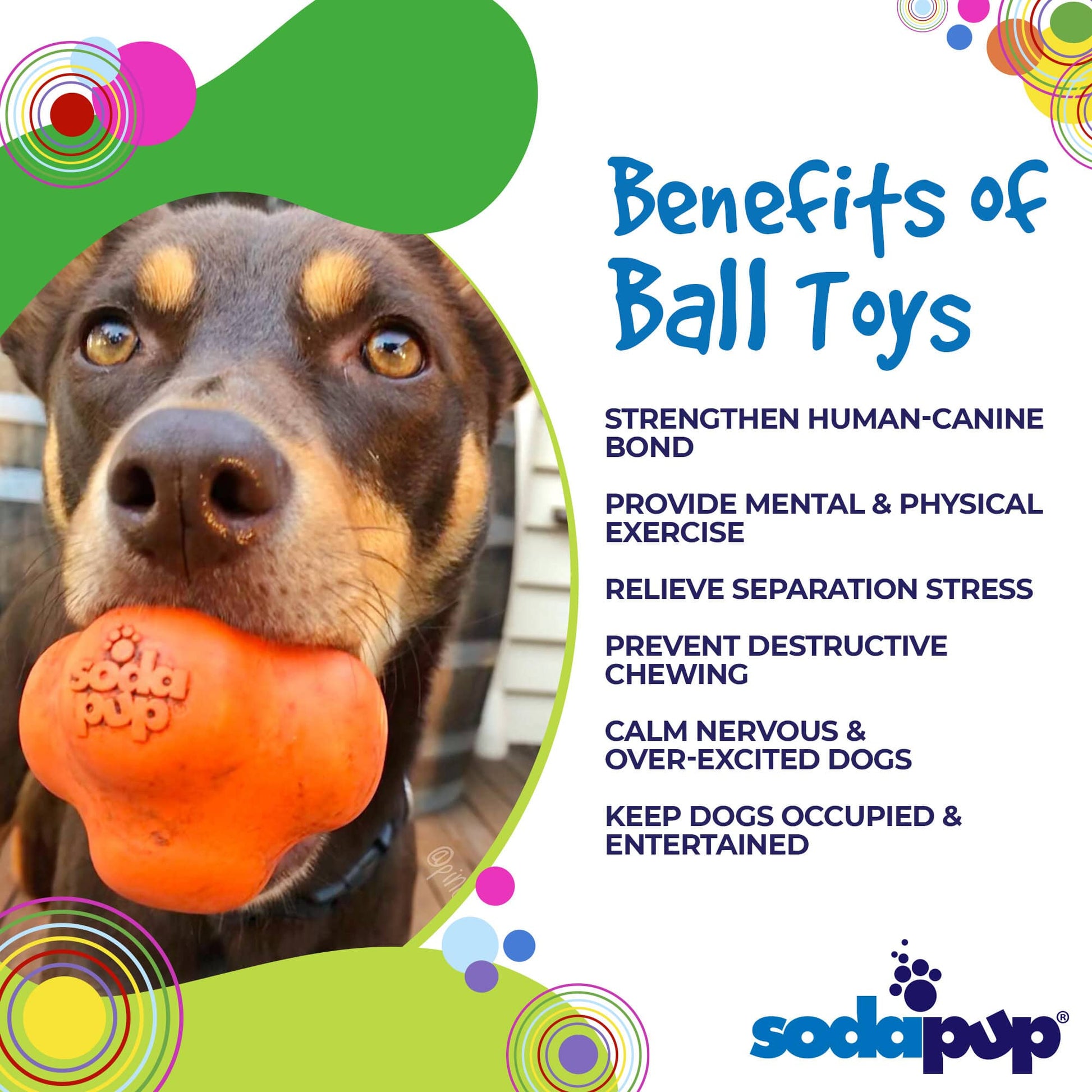 SodaPup Crazy Bounce Rubber Dog Chew Toy Power Chewers | Retrieving Ball USA Made