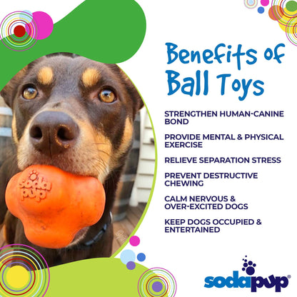 SodaPup Crazy Bounce Rubber Dog Chew Toy Power Chewers | Retrieving Ball USA Made