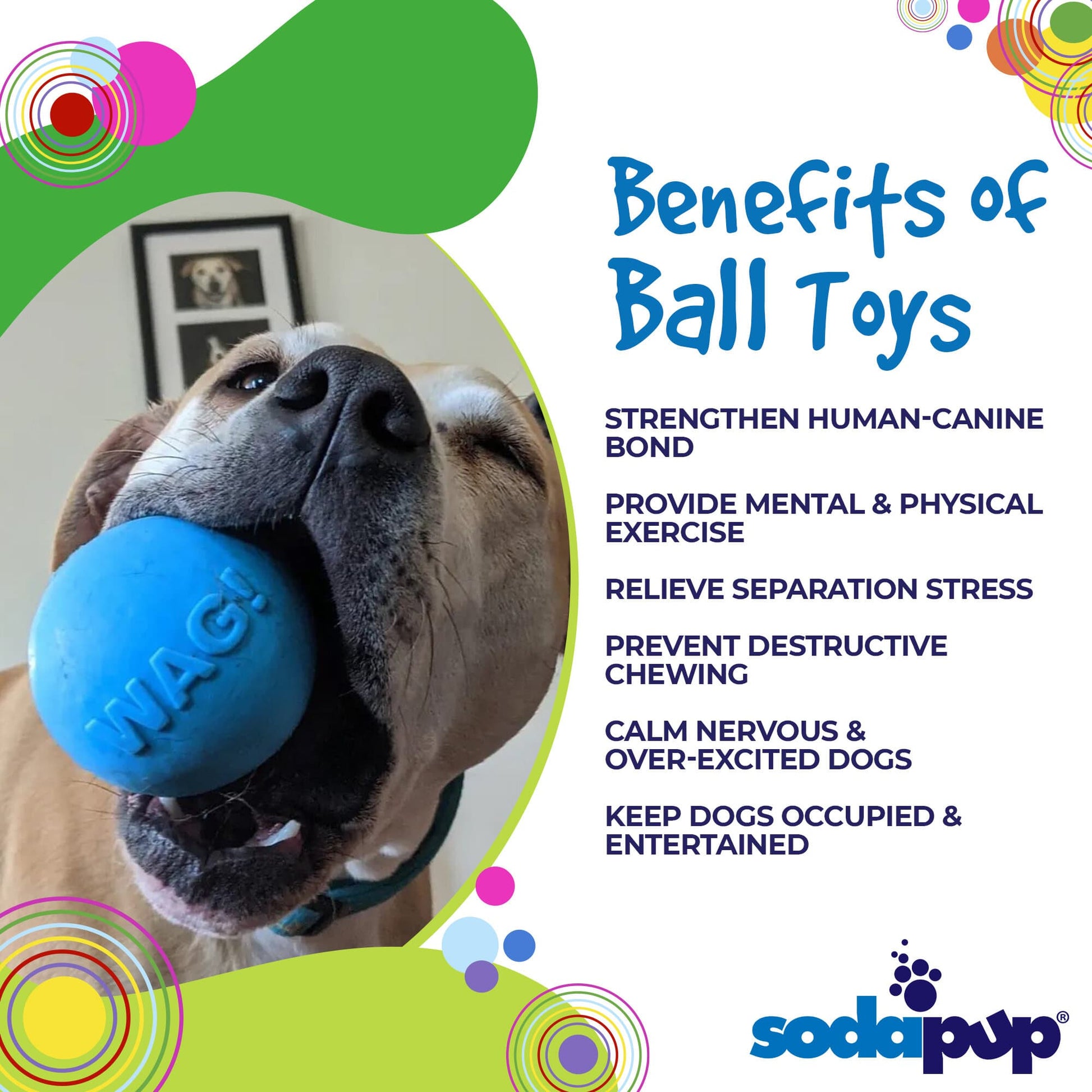SodaPup Wag Ball Rubber Dog Chew Toy Heavy Chewers | Floating Fetch USA Made