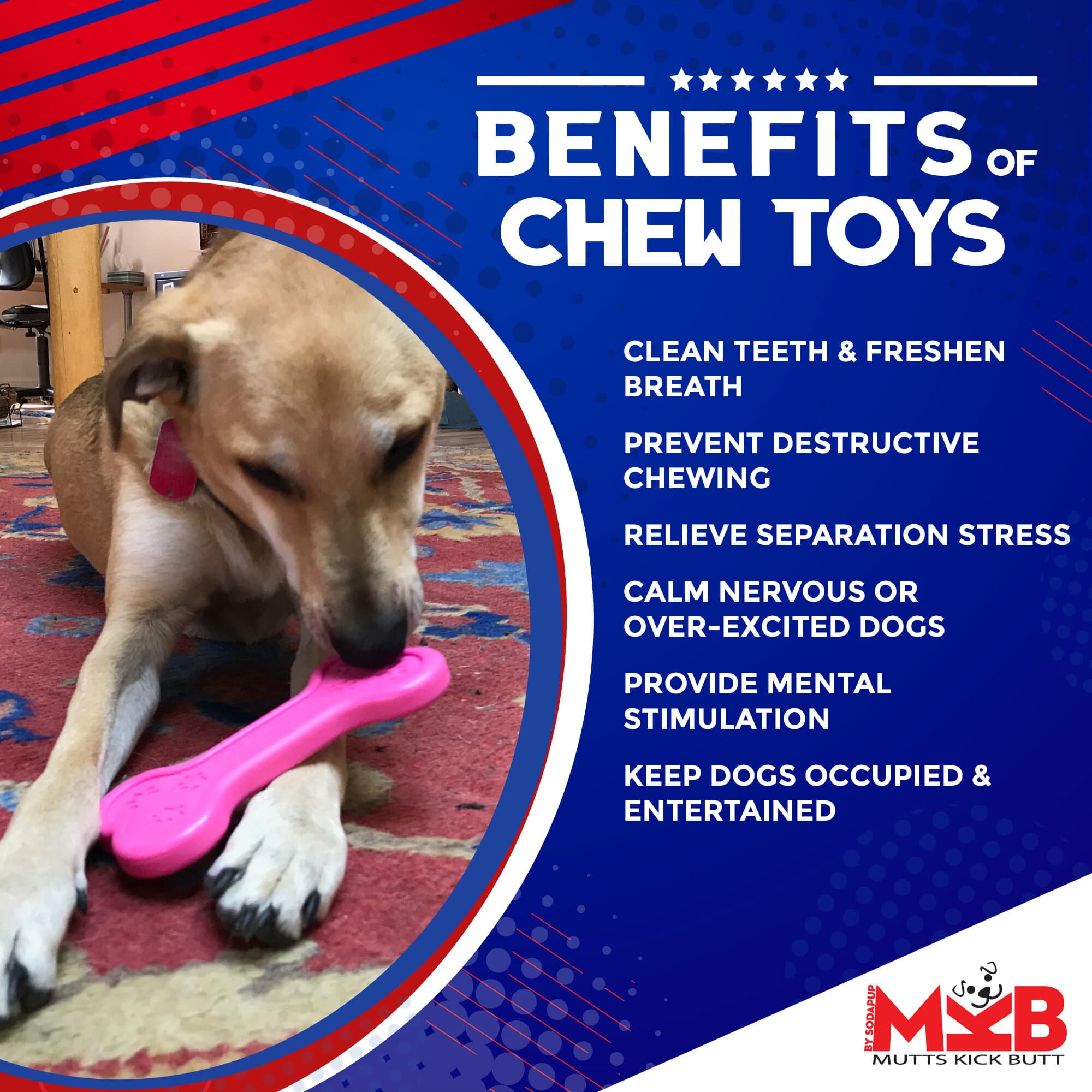 Durable Dog Chew Toy For Aggressive Chewers, Nylon Bone Dog Toys For Dogs,  Improves Dental Hygiene, Permeated With Flavor (peanut Butter) - Temu