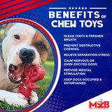 MKB Key to My Heart Ultra Durable Nylon Dog Chew Toy for Aggressive Chewers- Red - SodaPup/True Dogs, LLC