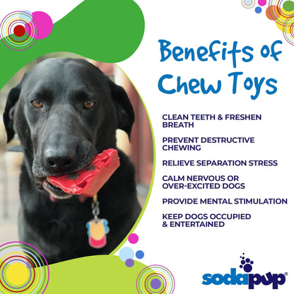 SodaPup Cherry Pie Nylon Dog Chew Toy Aggressive Chewers | USA Made