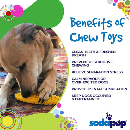 SodaPup Corn Cob Nylon Dog Toy Aggressive Chewers | USA Made