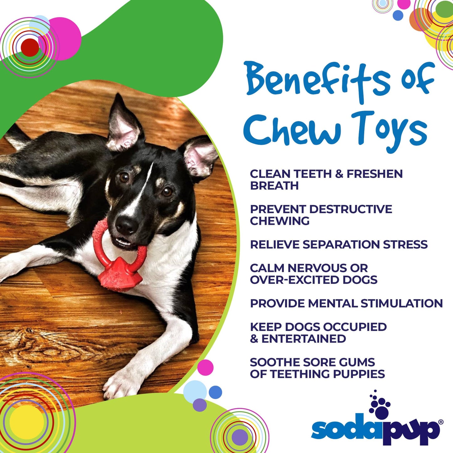 SodaPup Diamond Ring Nylon Teething Puppies | Durable & USA Made