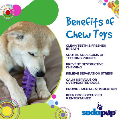 SodaPup Fish Bone Nylon Dog Toy Aggressive Chewers | USA Made