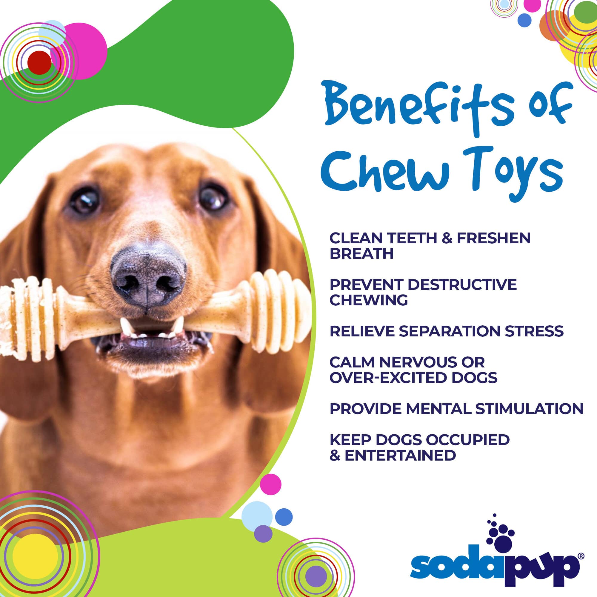 Best puppy bones for aggressive chewers best sale