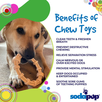SodaPup Chicken Flavored Teething Ring Puppies & Aggressive Chewers | USA Made