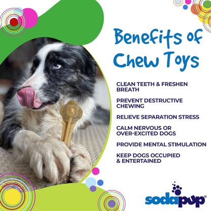 SodaPup Knuckle Bone Nylon Dog Chew Toy Aggressive Chewers | Made USA
