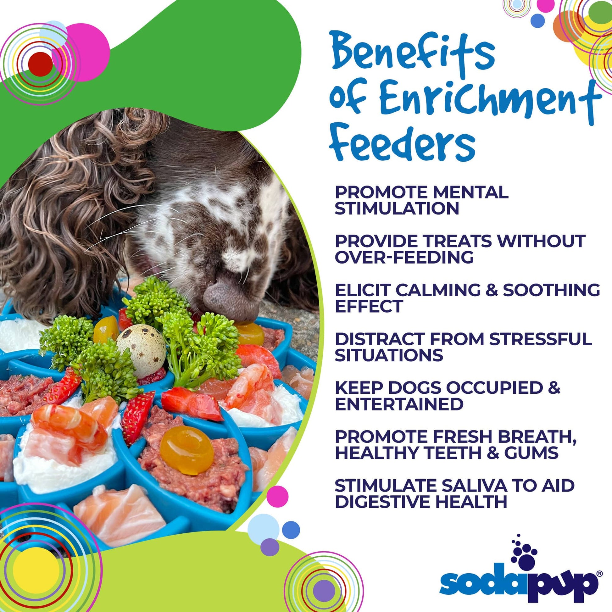 SodaPup Mandala eTray Shallow Slow Feeder Dog Bowl Enrichment | USA Made