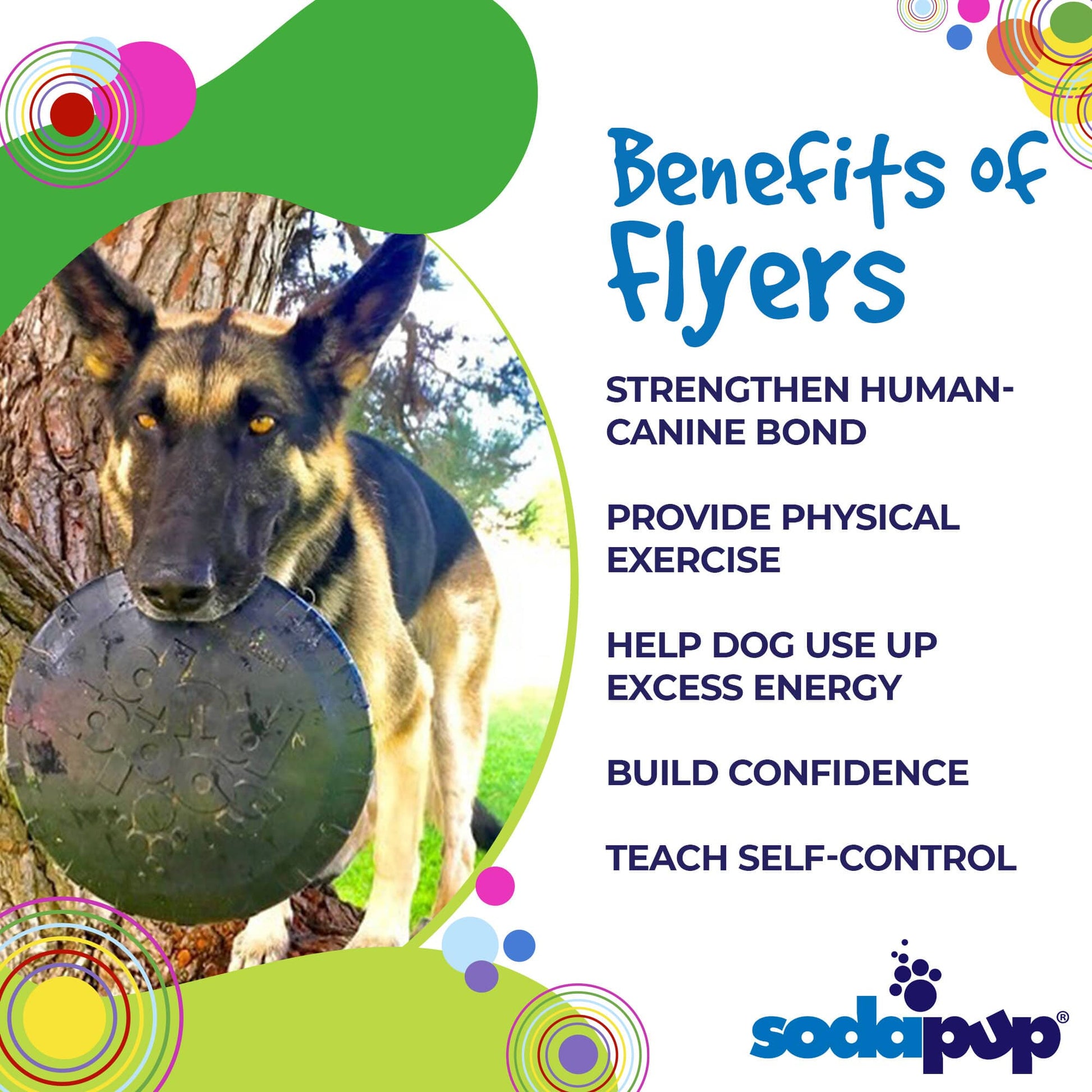 SodaPup Magnum Bottle Top Flyer Rubber Frisbee Heavy Chewers | Large USA Made