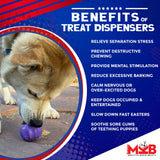 NEW! MKB Cross Bones Treat Pocket - Medium - Purple - SodaPup/True Dogs, LLC