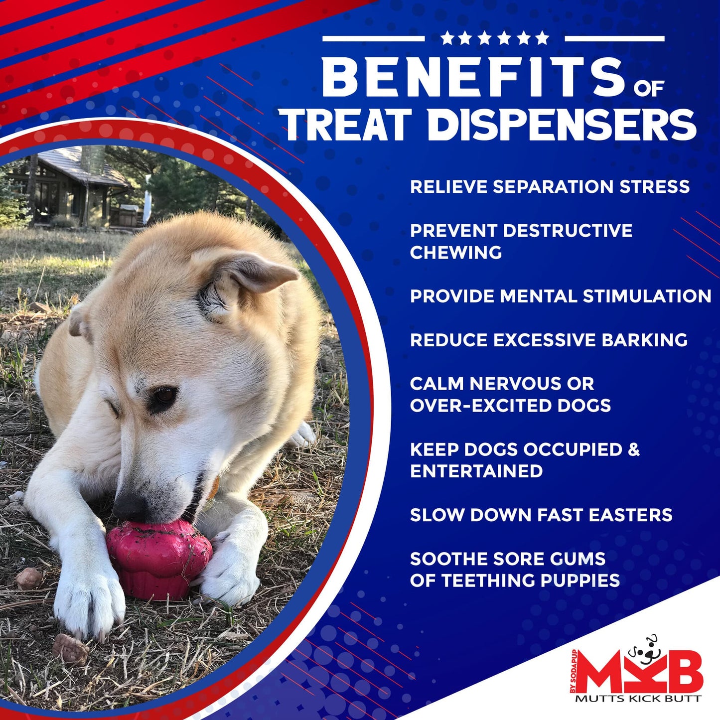 SodaPup Cupcake eDispenser Durable Rubber Chew Toy & Treat Dispenser | USA Made