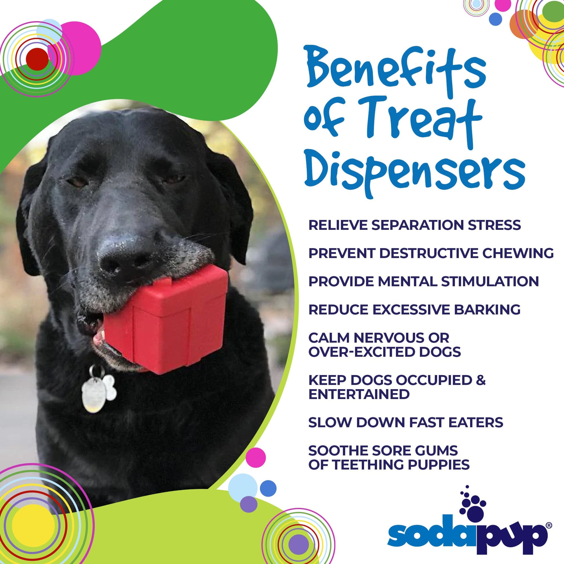 SodaPup Gift Box eDispenser Durable Rubber Treat Dispenser Dogs | USA Made