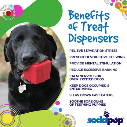 SodaPup Gift Box eDispenser Durable Rubber Treat Dispenser Dogs | USA Made