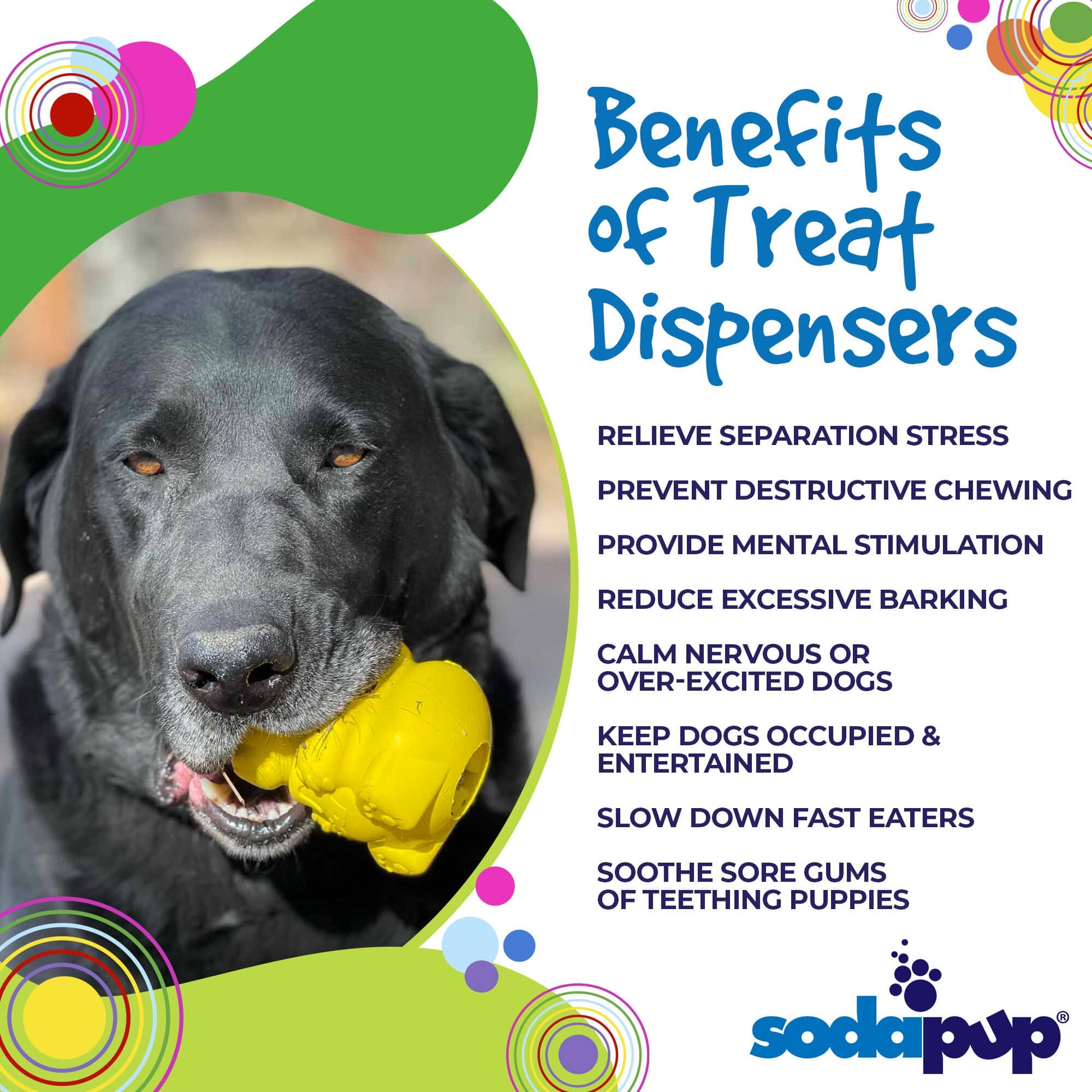 SodaPup Honey Bear eDispenser Durable Rubber Treat Dispenser Dogs | USA Made